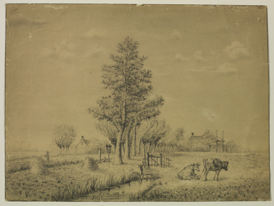 206458 Gezicht op een weidelandschap bij Snelrewaard.